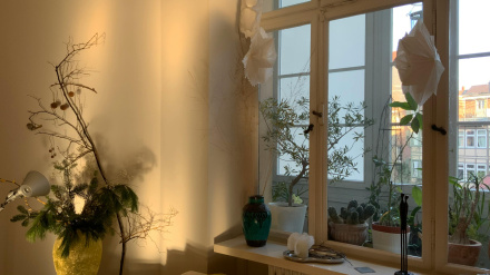 10 objetos que NUNCA deberías colocar en el alféizar de la ventana