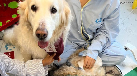 Los perros de Yaracan en terapia con niños