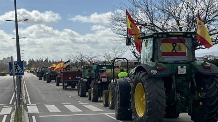 Tractorada en Almendralejo, en febrero de 2024