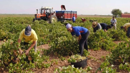 Los empresarios de Ciudad Real urgen a los sindicatos a un pacto local ante la "tensión innecesaria" del Gobierno