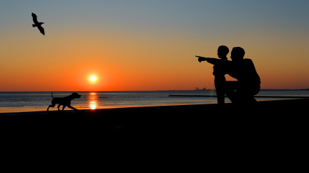 La reflexión semanal de Miguel Lechuga parte de un padre cruzando en rojo con su hijo para advertir sobre cómo los pequeños gestos construyen la sociedad