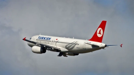El autor de la falsa amenaza de bomba se enfrenta a un año de cárcel y una multa de 225.000 euros,  y Turkish Airlines lo perseguirá judicialmente