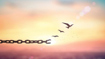 El Mirall de l'Església 16 de enero de 2026