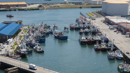 Lonja de Gijón, en el puerto de El Musel