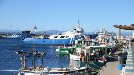 Imagen del puerto de Roses