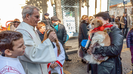 Bendición de animales por San Antón