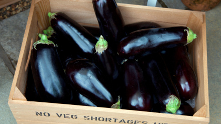 Caja de berenjenas