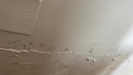 Estado que presenta uno de los zócalos