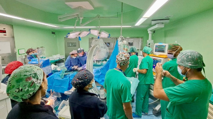 Alicante, referente en trasplantes gracias a la generosidad de toda una sociedad