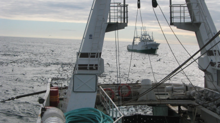 Javier Garat Secretario General de la Confederación Española de Pesca CEPESCA y Consejero del Comité Económico y Social Europeo