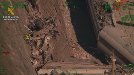 Agentes caninos de la Guardia Civil buscan entre el amasijo de hierros