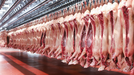 Imagen de una de las instalaciones de La Comarca Meats que planea ampliar su área de despiece y construir un nuevo matadero