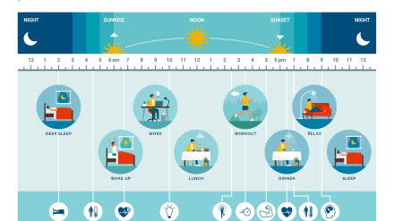 Ritmo circadiano y actividades diarias: cómo la exposición a la luz solar regula los procesos corporales durante el día y la noche.