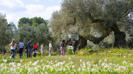 Maestrat Ànima Interior