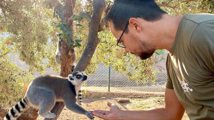 El veterinario de Terra Natura Ricardo Navarro en plena tarea