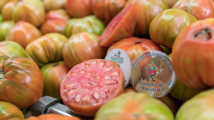 Tomate de El Perelló