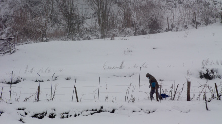 Foto de archivo de nieve en Pedrafita do Cebreiro (Lugo)