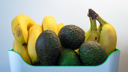 Cómo lograr que los aguacates maduren más rápido con un truco sencillo