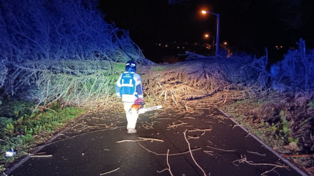 Uno de los bomberos de Ferrol actuando ante un incidente