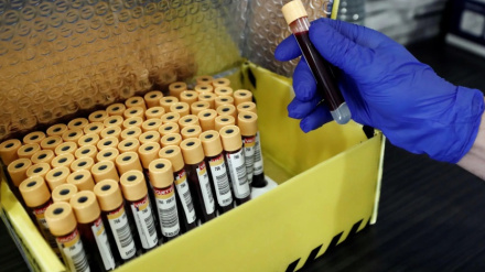 Muestras de sangre en un laboratorio. EFE/ Jesús Diges/ Archivo