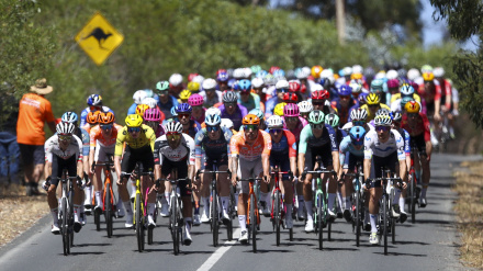 El pelotón sufrió una caída tras colarse un canguro en la carretera