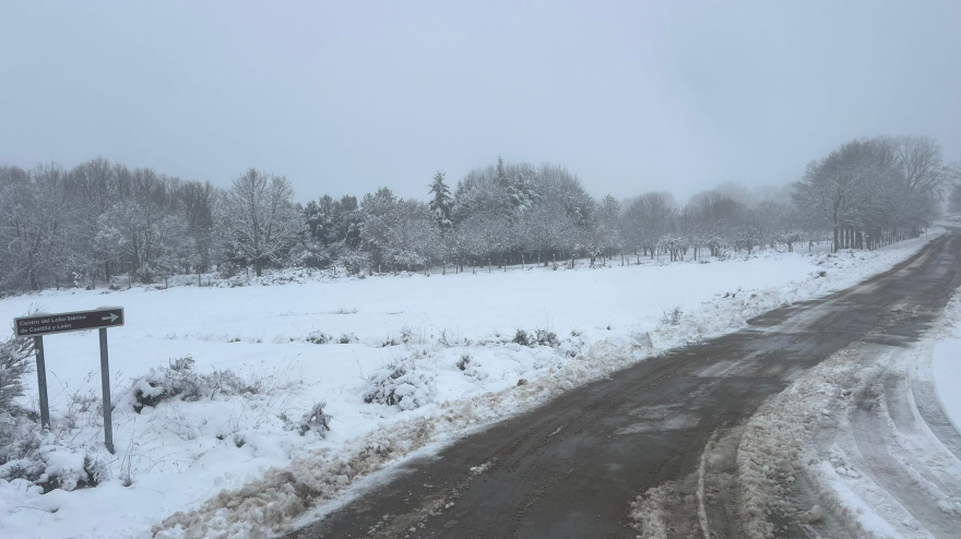 Una carretera provincial de Zamora afectada por la nieve por el temporal Ingrid