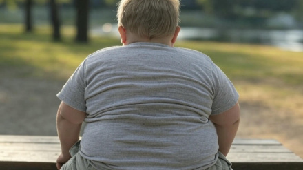 Obesidad, ejercicio y e-learning: el proyecto pionero que arranca en Alicante