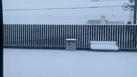 Los pasajeros del tren veían durante el fin de semana esta imagen al detenerse en la estación de A Gudiña
