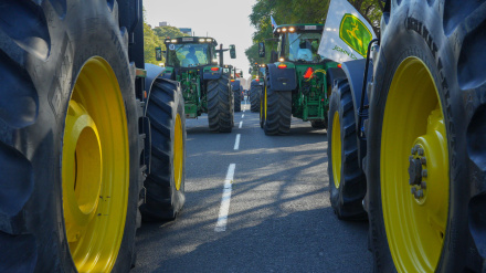 (Foto de ARCHIVO)Imagen de los tractores de agricultores onubenses en la manifestación de este jueves en Sevilla.FRANCISCO J. OLMO/EUROPA PRESS01/2/2024