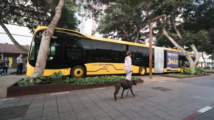 Entrevista Carlos Gómez, presidente del Comité de Empresa de Guaguas Municipales