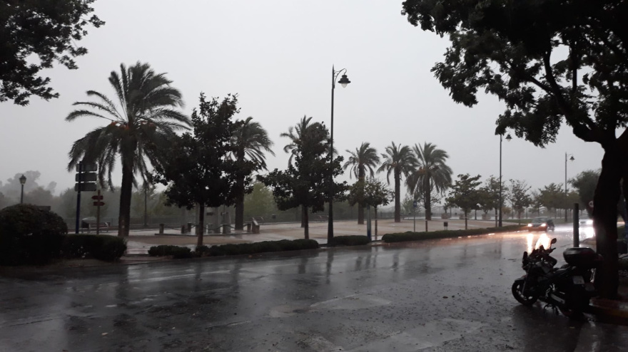 Ronda del Cañillo, Talavera de la Reina