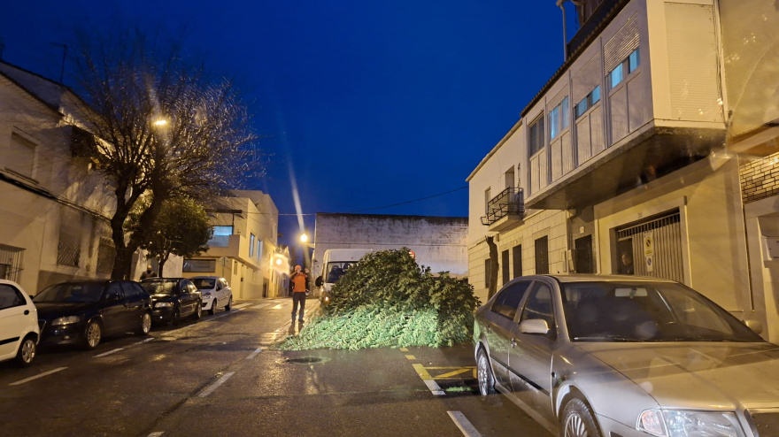 La borrasca Joseph provoca las primeras incidencias en Mérida por el fuerte viento