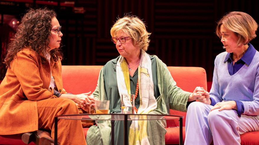 una comedia con tintes dramáticos protagonizada por un trío de actrices de primer nivel como son María Pujalte, Francesca Piñón y Cristina Plaza