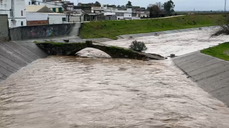 Así se encuentra el Guadalquivir a su paso por Lora del Río