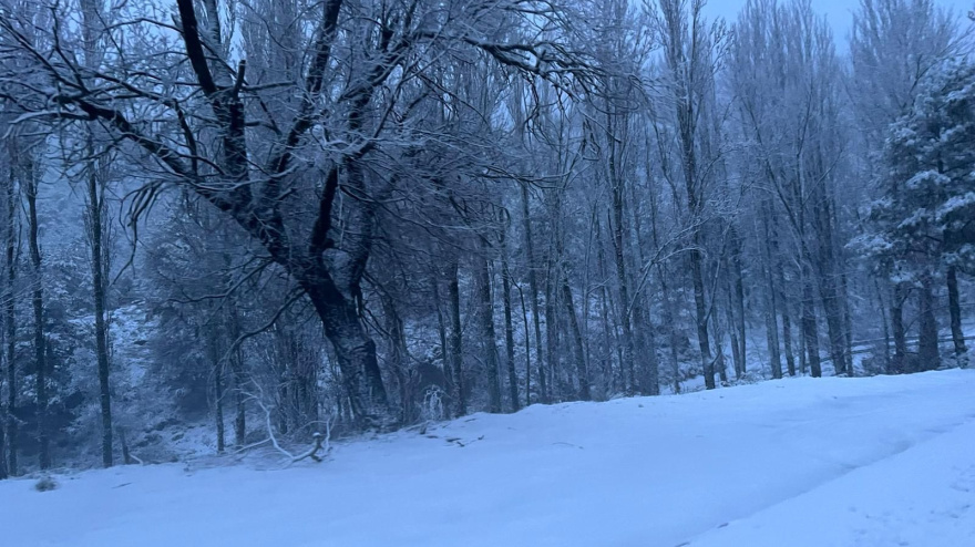 Puerto de las Crucetas entre Riópar y Salobre, Albacete