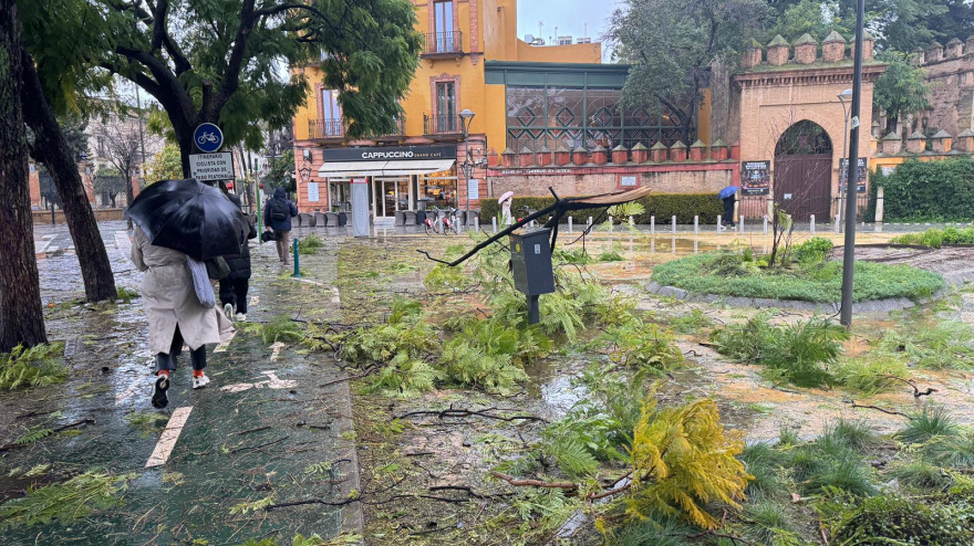 Aviso Naranja en Sevilla Capital
