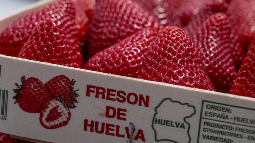 Fresón de Huelva