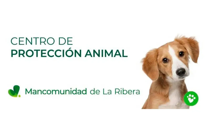 Centro animales mancomunidad de la ribera