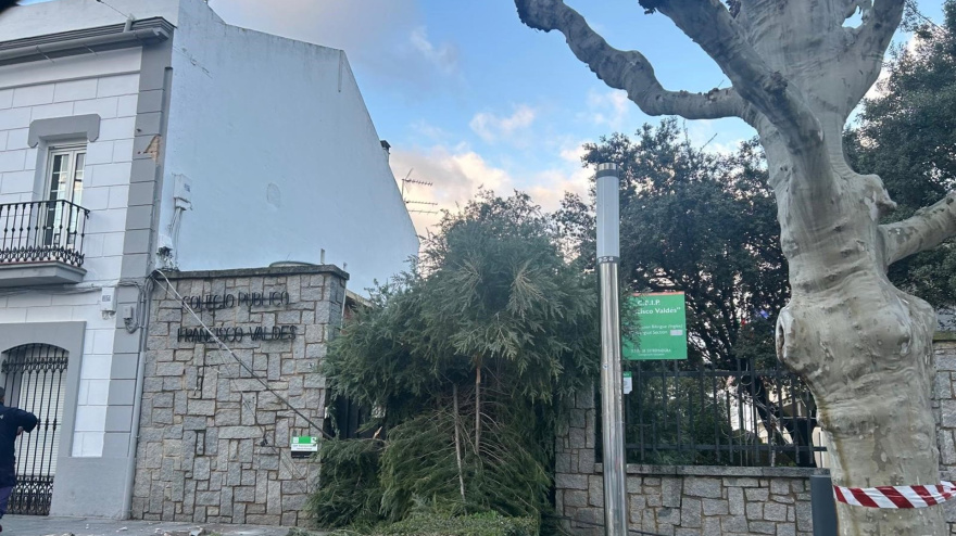 SOCIEDAD ESPAÑA EUROPA EXTREMADURADIPUTACIÓN DE BADAJOZ