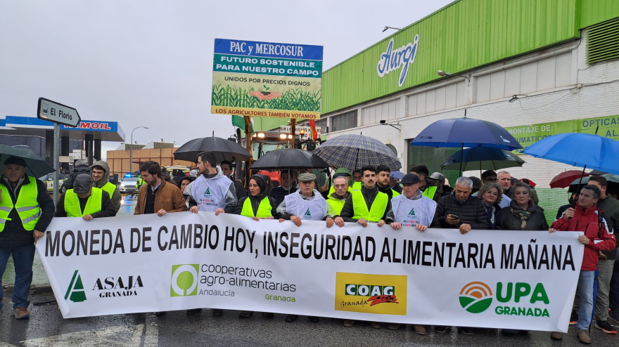 Cabeza de la movilización