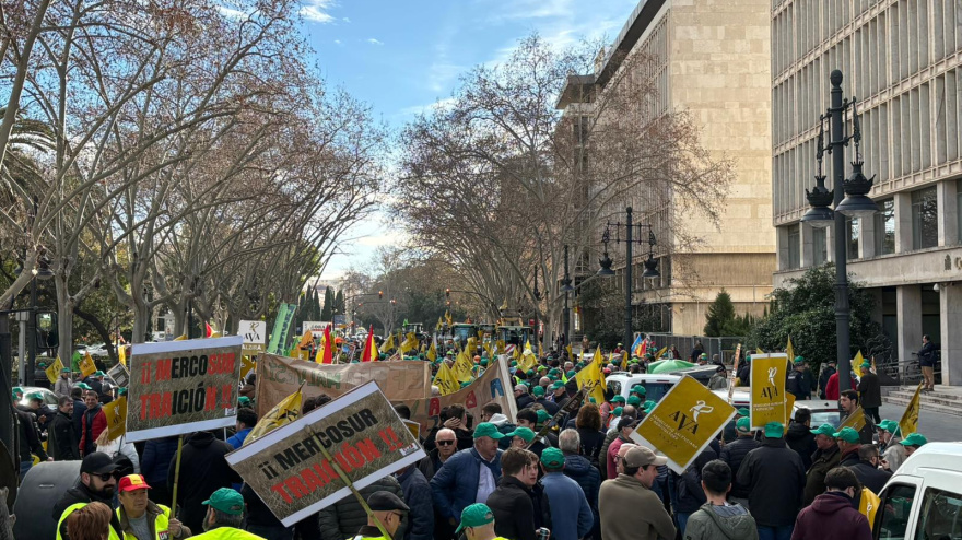 Manifestación en Valencia hoy, dentro del 'superjueves' del campo español