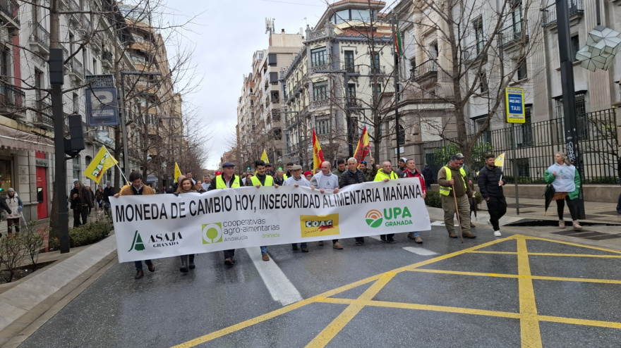 Manifestación agraria