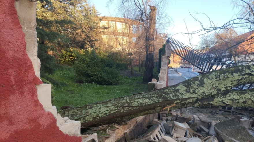 Un árbol derribó parte del muro del IES El Brocense de Cáceres