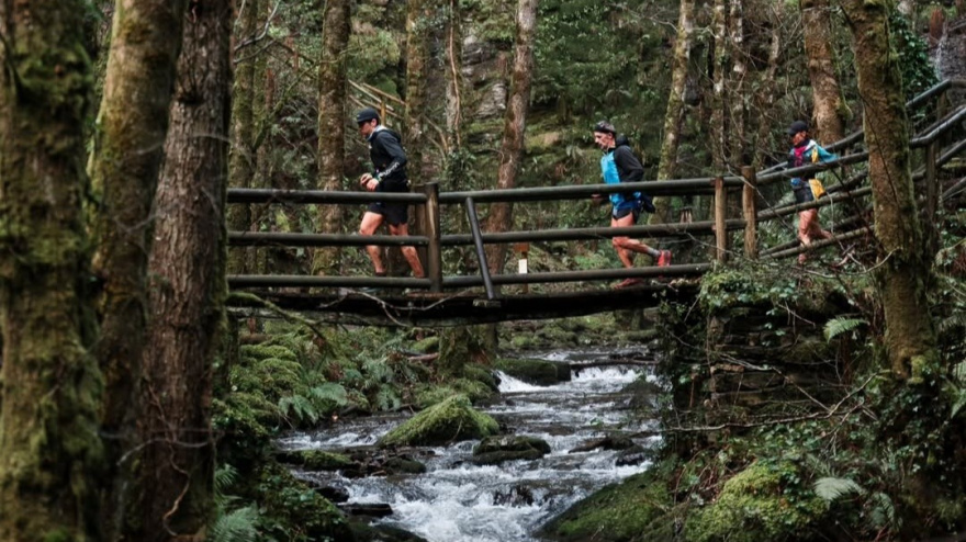 Screenshot_20260130_095411_Instagram