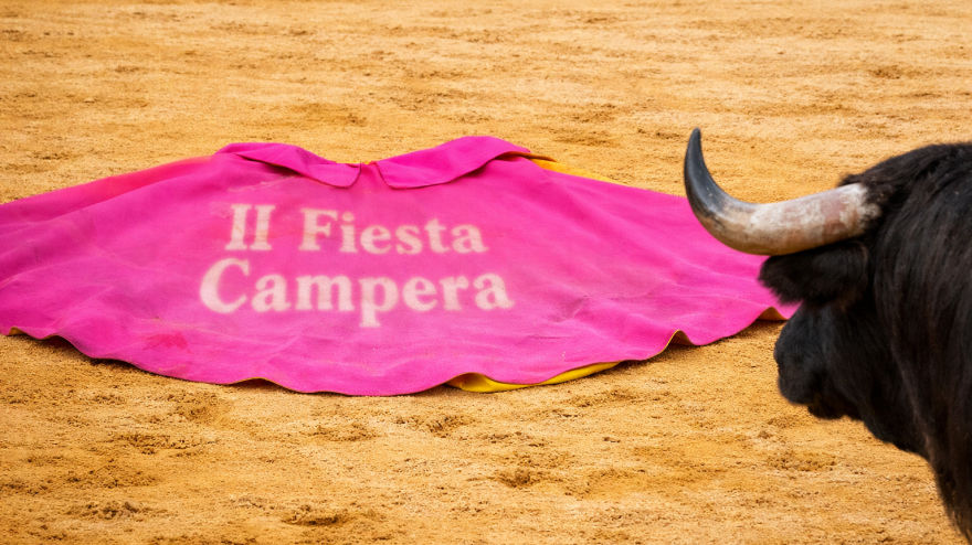 Segunda Fiesta Campera