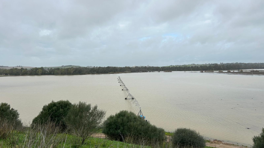 Belén Padilla, técnico ASAJA | conexión Bornos - Guadalcacín