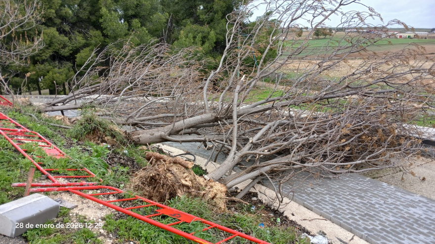 Daños en Puente Genil