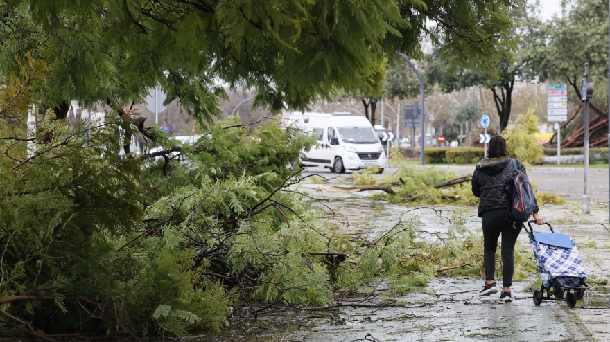 La nueva borrasca que ha irrumpido este lunes en Andalucía ha dejado de momento más de 150 incidencias solo en la provincia de Sevilla, donde cinco personas han resultado heridas a raíz de distintos desprendimientos provocados por las fuertes rachas de viento