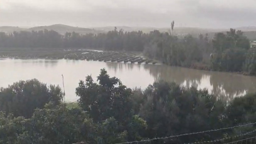 Alberto Sánchez, Coordinador Servicios Técnicos de ASAJA