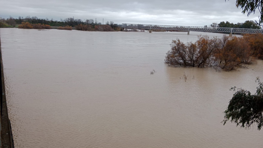Río Guadalquivir en Lora del Río